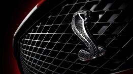 Ford Shelby GT500 2007 - logo