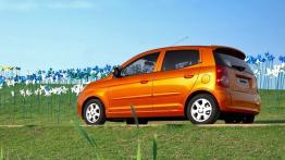 Kia Picanto 2007 - lewy bok