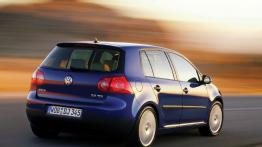 Volkswagen Golf V 2007 - widok z tyłu