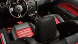 Ford Shelby GT500 2007 - pełny panel przedni