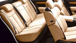 Renault Vel Satis 2007 - widok ogólny wnętrza