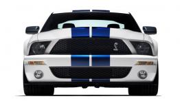 Ford Shelby GT500 2007 - widok z przodu