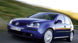 Volkswagen Golf V 2007 - widok z przodu