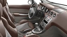 Peugeot 308 5d 2007 - widok ogólny wnętrza z przodu