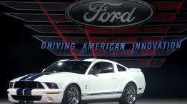 Ford Shelby GT500 2007 - lewy bok
