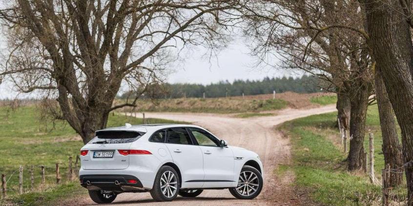 Jaguar F-Pace - duży kot w wielkim świecie