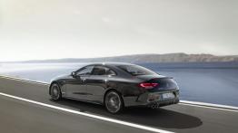 Mercedes-AMG CLS 53 4MATIC+ (2018)