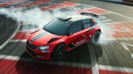 Skoda Fabia R5 (2018)