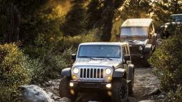 Jeep Wrangler III Rubicon 5d 2.8 CRD 200KM 147kW 2015-2018
