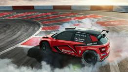 Skoda Fabia R5 (2018)