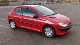Ładny, praktyczny i tani - Peugeot 206 (1998- )