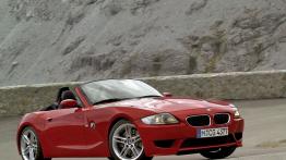 BMW Z4 E85 Cabrio 2.5 si 218KM 160kW 2006-2008