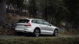 Volvo V60 Cross Country (2018) - widok z ty?u