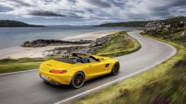 Mercedes-AMG GT S Roadster (2018)