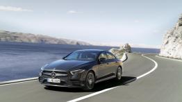 Mercedes-AMG CLS 53 4MATIC+ (2018)