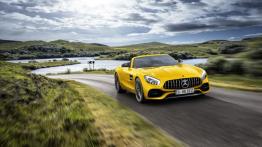 Mercedes-AMG GT S Roadster (2018)