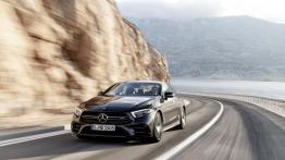 Mercedes-AMG CLS 53 4MATIC+ (2018)