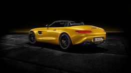 Mercedes-AMG GT S Roadster (2018)