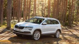 Skoda Karoq (2018)