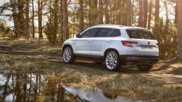 Skoda Karoq (2018)
