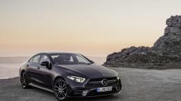 Mercedes-AMG CLS 53 4MATIC+ (2018)