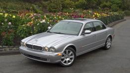Jaguar XJ8 - widok z przodu