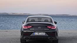 Mercedes-AMG CLS 53 4MATIC+ (2018) - widok z ty?u