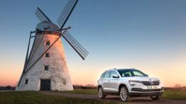 Skoda Karoq (2018)