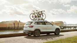 Skoda Karoq (2018)