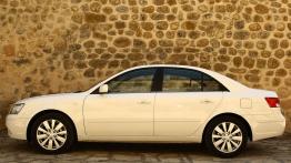 Hyundai Sonata 2008 - lewy bok