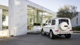 Mercedes-AMG Klasa G (2018) - widok z ty?u