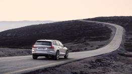 Volvo V60 Cross Country (2018) - widok z ty?u