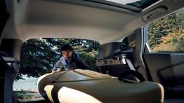 Renault Kadjar (2018) - baga?nik