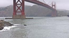 Jaguar XJ8 - widok z przodu