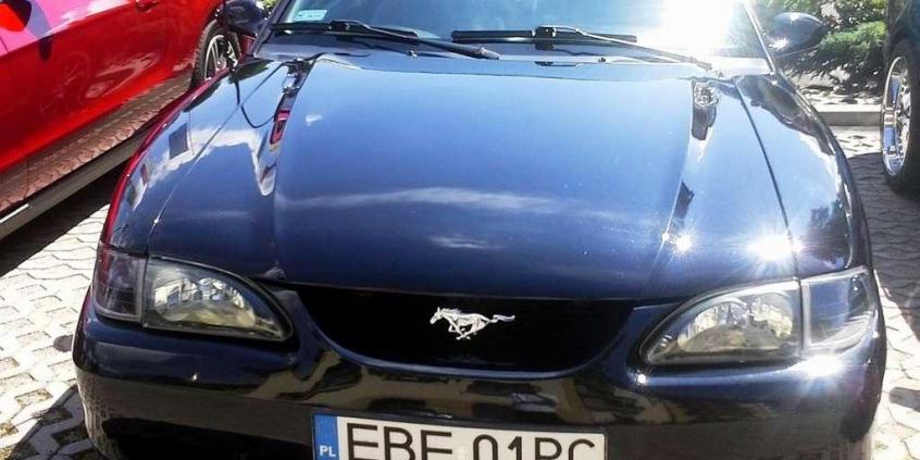 Mustang Race - prawie jak w USA