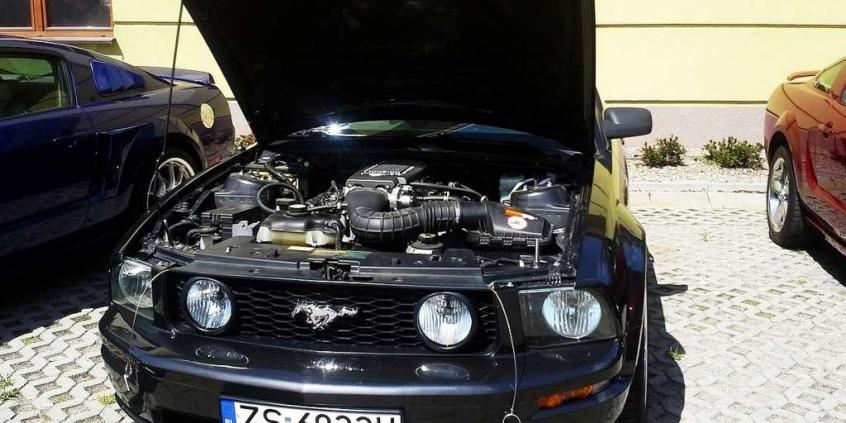 Mustang Race - prawie jak w USA