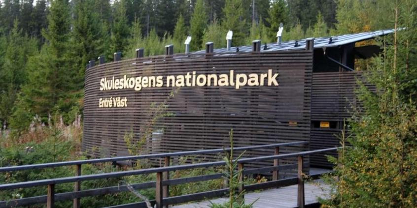 Skoda Citigo - małe auto, długa trasa