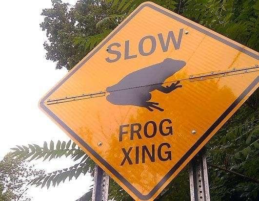 Polskie drogi - aleje znaków drogowych...