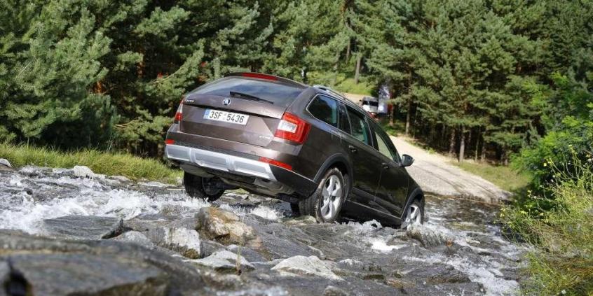 Dekada troski o kierowców - Skoda