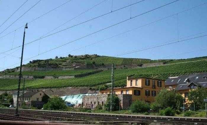 Juke - nowość Nissana