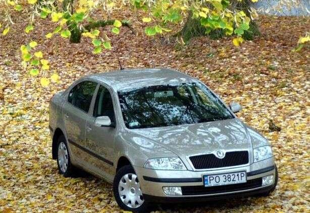 Rozważna i nie romantyczna