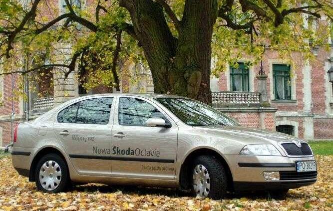 Rozważna i nie romantyczna