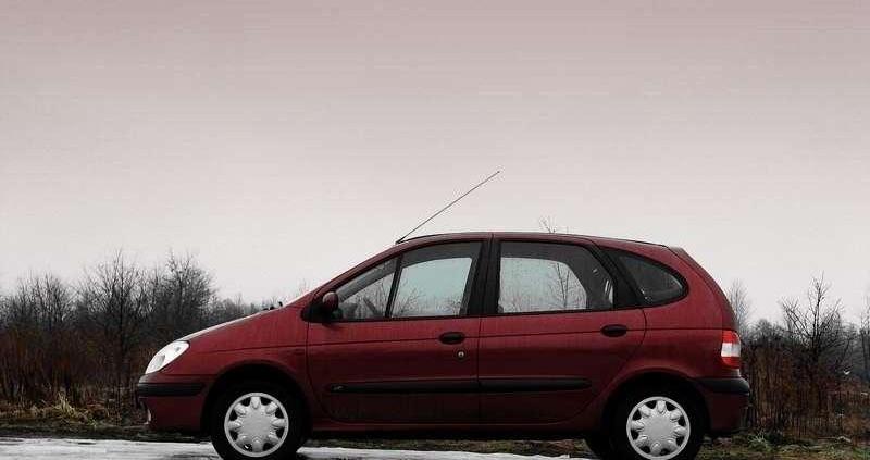 Scenic I - uwierzyć w stereotypy?