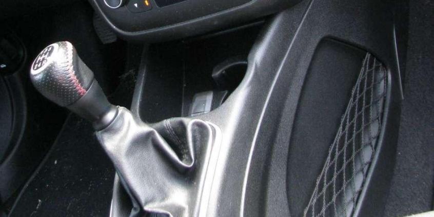 Fiat Punto Evo - Dwulicowiec