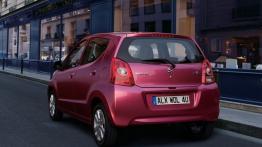 Suzuki Alto 2009 - widok z tyłu