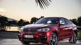 BMW X6 F16 Crossover xDrive50i 450KM 331kW 2014-2019