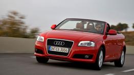 Audi A3 8P Cabriolet 1.9 TDI 105KM 77kW 2007-2009