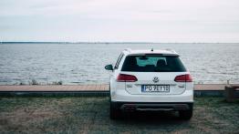 Volkswagen Golf VII Variant Alltrack Facelifting 2.0 TDI-CR BMT 150KM 110kW 2017-2019