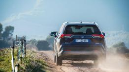 Toyota RAV4 (2019) - widok z ty?u