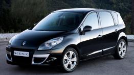 Renault Scenic 2009 - lewy bok